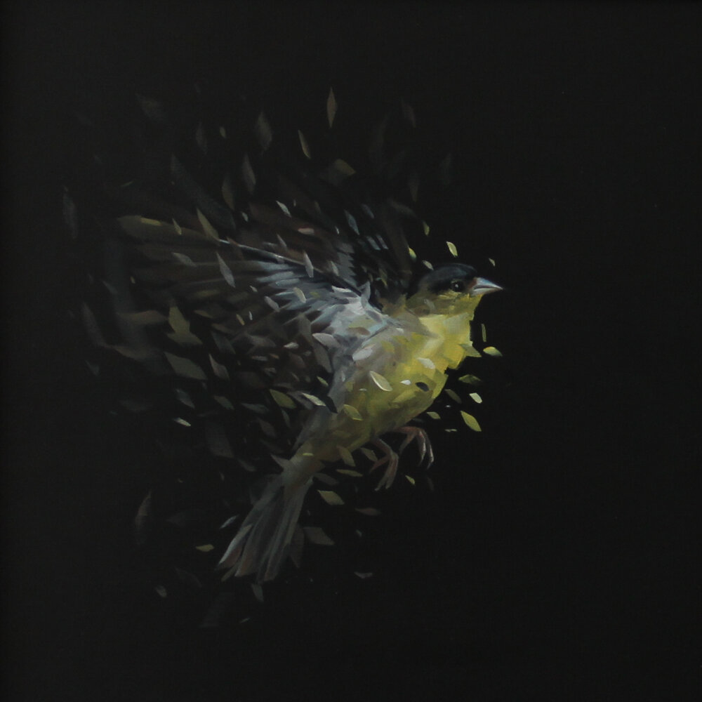 Birdstudy 61 (2016) Birdstudy 61 (2016)